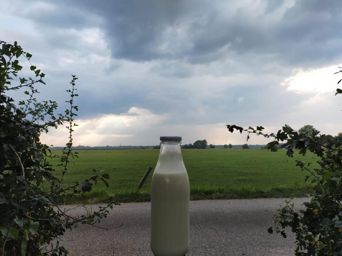 Bissems Hofstede Villa Marle  Exteriör bild